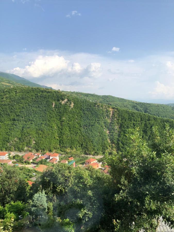 Bujtina Vrenezi 호텔 Peshkopi 외부 사진